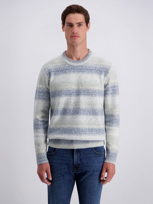 Herren Pullover