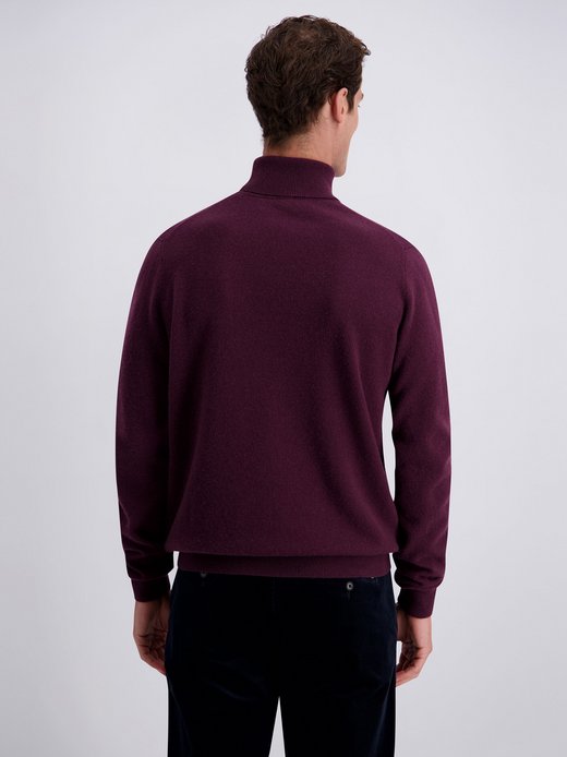 Herren Pullover