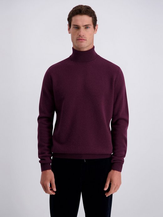 Herren Pullover