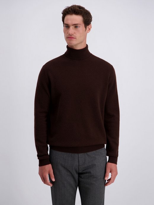 Herren Pullover