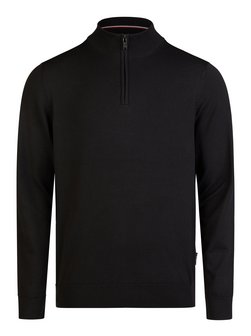 Herren Pullover
