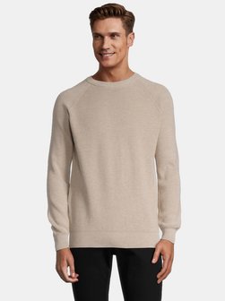 Herren Pullover