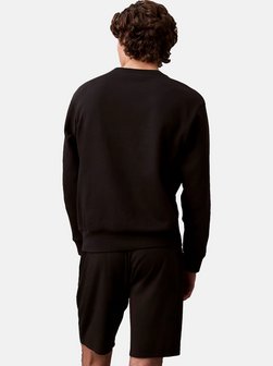Herren Pullover
