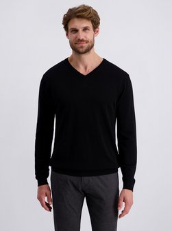 Herren Pullover