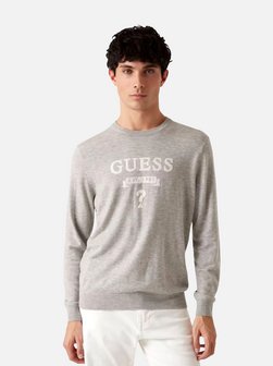 Herren Pullover