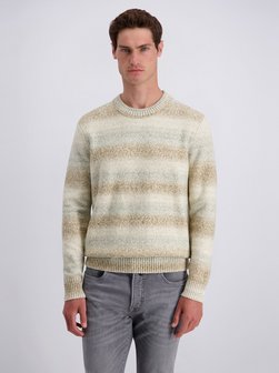 Herren Pullover