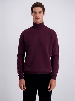 Herren Pullover