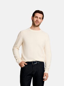 Herren Pullover