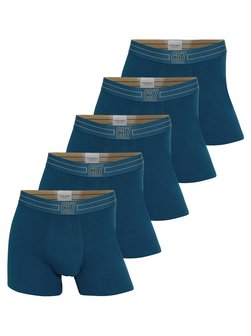 Herren Retro Boxer  -  Basic Organic im 5er-Pack