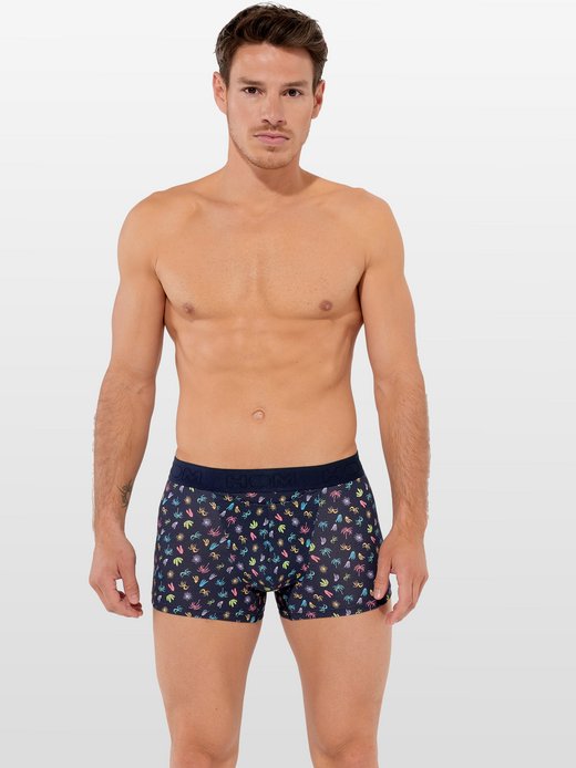 Herren Retro Boxer  -  California HO1