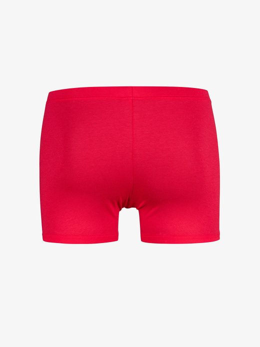 Herren Retro Pants  -  RED1601 Casualpants