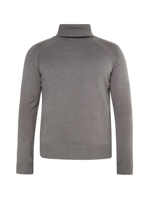 Herren Rollkragenpullover