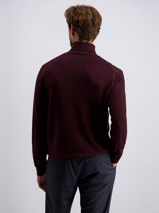 Herren Rollkragenpullover