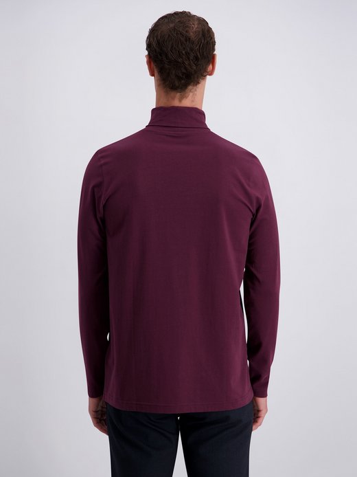 Herren Rollkragenpullover