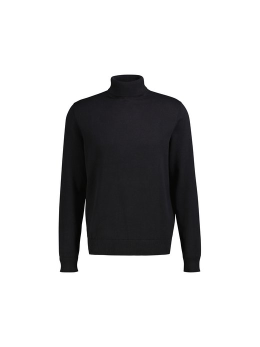 Herren Rollkragenpullover