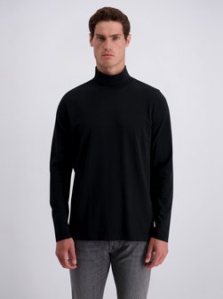 Herren Rollkragenpullover
