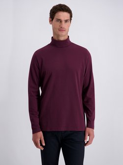 Herren Rollkragenpullover