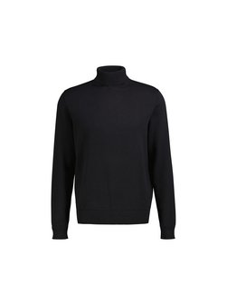 Herren Rollkragenpullover