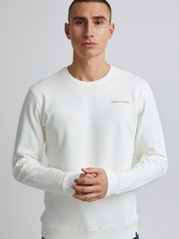 Herren Rundhalspullover - CFSeverin