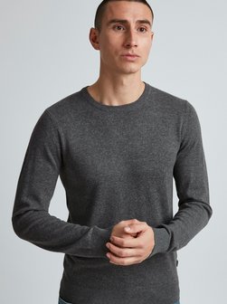 Herren Rundhalspullover - PRMelvin