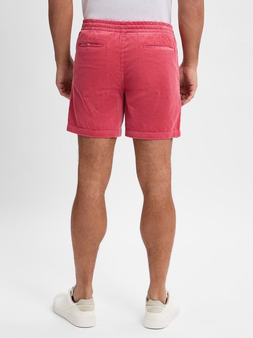 Herren Shorts - Classic Fit