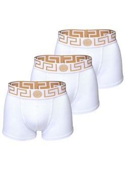 Herren Slip 3er Pack