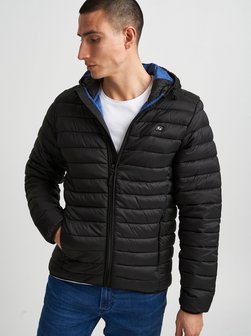 Herren Steppjacke - BHRomsey