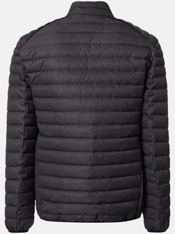 Herren Steppjacke - Basic