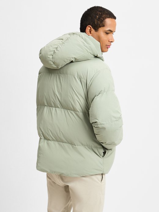 Herren Steppjacke - C-Celvie