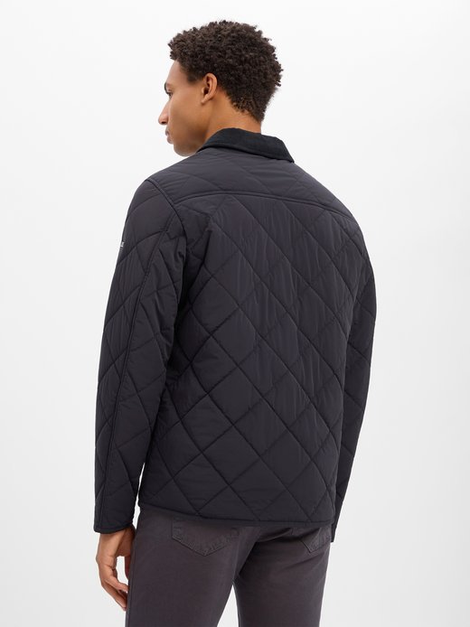 Herren Steppjacke - Cispark