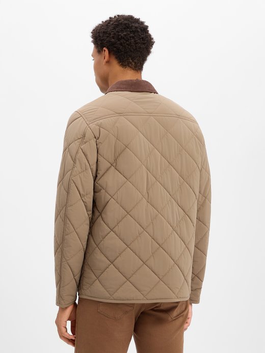 Herren Steppjacke - Cispark