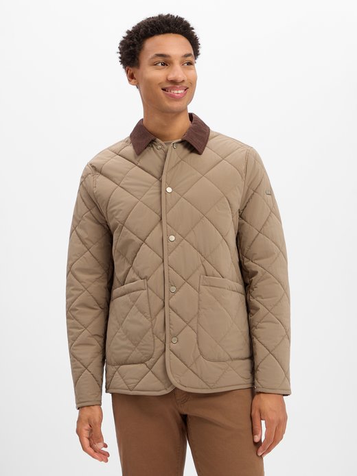Herren Steppjacke - Cispark