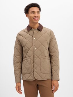 Herren Steppjacke - Cispark