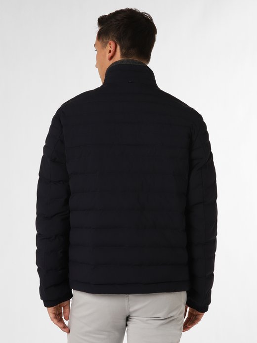 Herren Steppjacke - P-Coldio