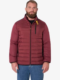 Herren Steppjacke - VIGRID