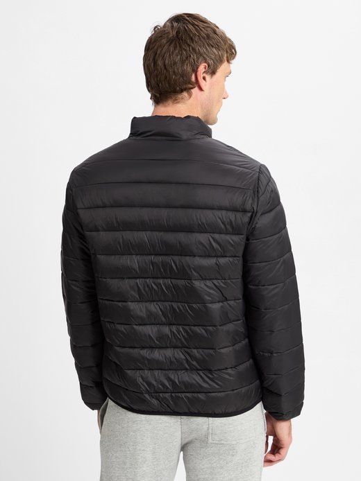 Herren Steppjacke
