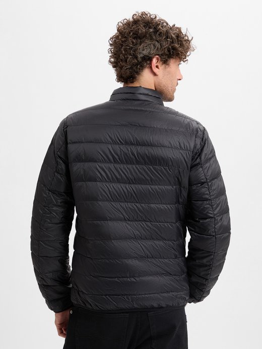 Herren Steppjacke