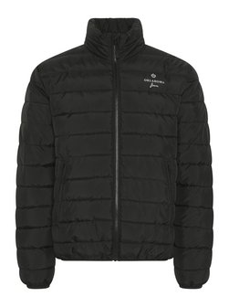 Herren Steppjacke