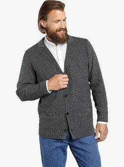 Artikelbild Herren Strickjacke - ASGER von Jan Vanderstorm in grau uni
