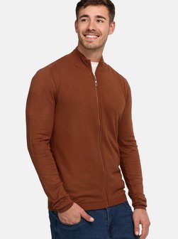 Herren Strickjacke - Lauge