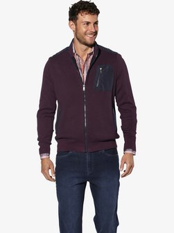 Herren Strickjacke - RALDIN