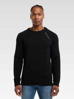 Herren Strickpullover  -  Ditta