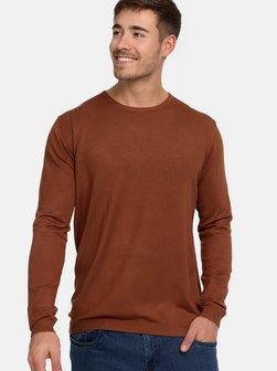 Herren Strickpullover - Greyson
