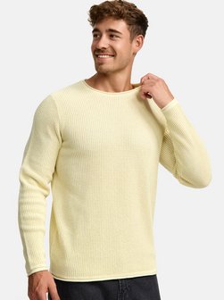 Herren Strickpullover - INPetri