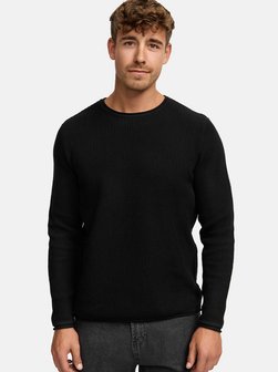 Herren Strickpullover - INPetri