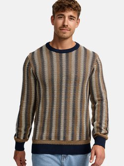 Herren Strickpullover - INScott