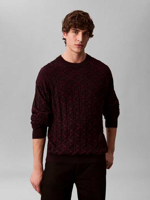Herren Strickpullover