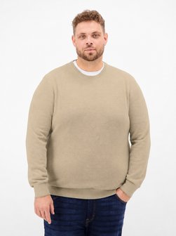 Herren Strickpullover