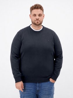 Herren Strickpullover