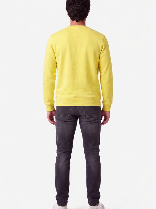 Herren Sweater - BHFAVIAN